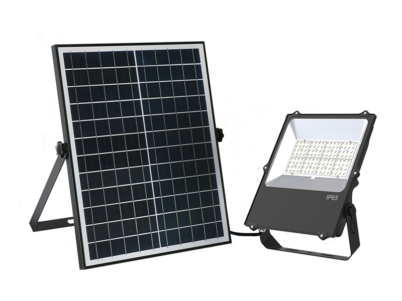 YM-WP300