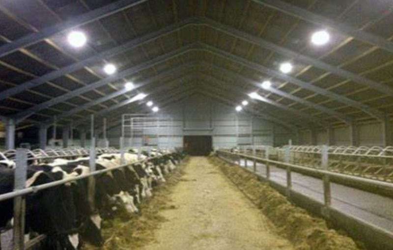 Farm Lighting